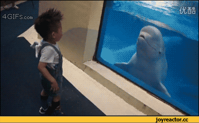 гифки-живность-934943 (1).gif