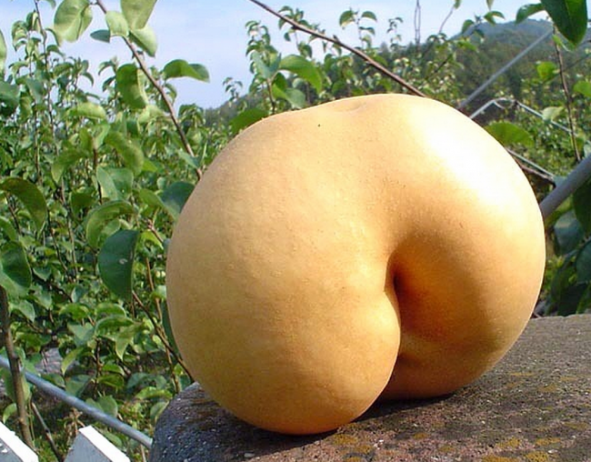 스크린샷 2013-11-08 오후 10.19.42.png