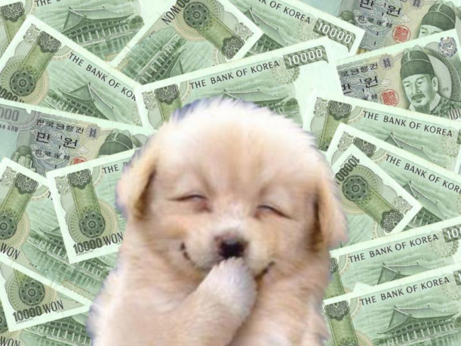 강아지 부자.gif