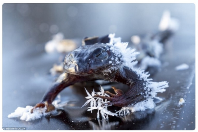 스크린샷 2014-01-09 오후 5.51.41.png