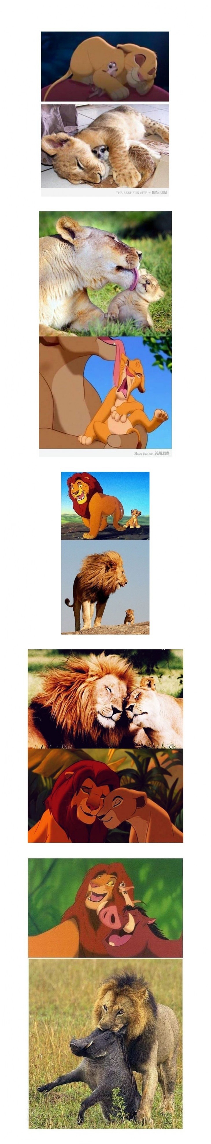라이온킹.jpg