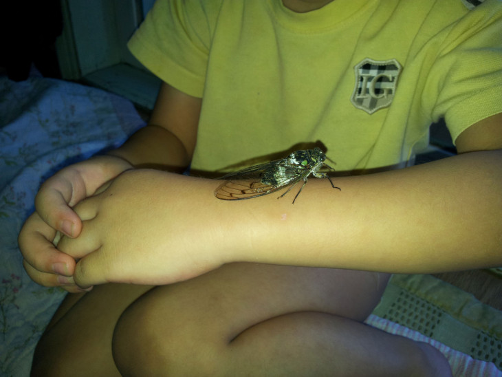 5bcdb46abd7b5769c873d0f1d34c33ca_1501120