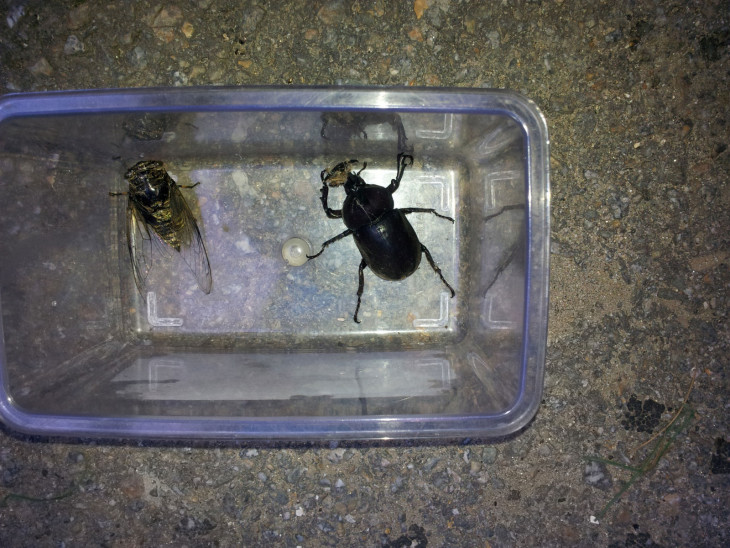 5bcdb46abd7b5769c873d0f1d34c33ca_1501120