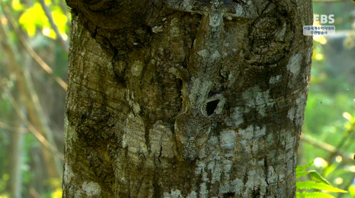 adf9fee9eb5ac611820fc18bf60e404c_1500874