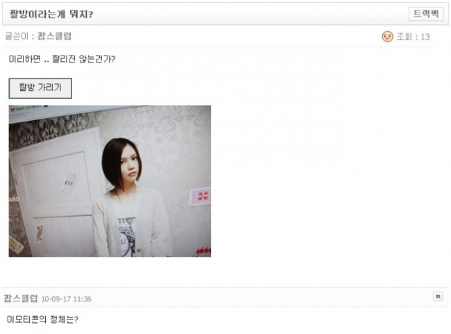 짤방 스킨 화면 보기 예제