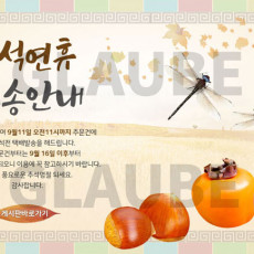 Thanksgiving_2019_03