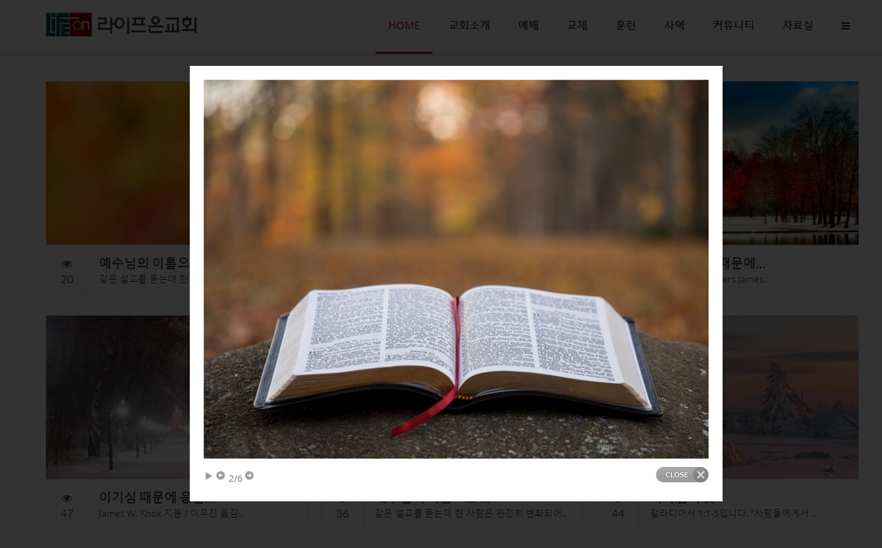 채러티11 반응형교회테마